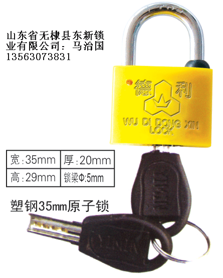 塑鋼35mm原子表箱掛鎖,一把鑰匙通用掛鎖,一把鑰匙通用鎖